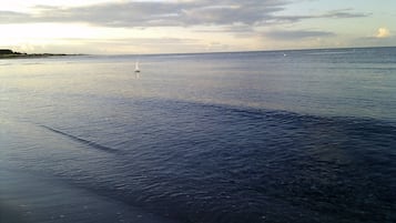Vista desde la propiedad
