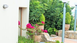Un jardín con plantas en macetas y un muro de piedra.