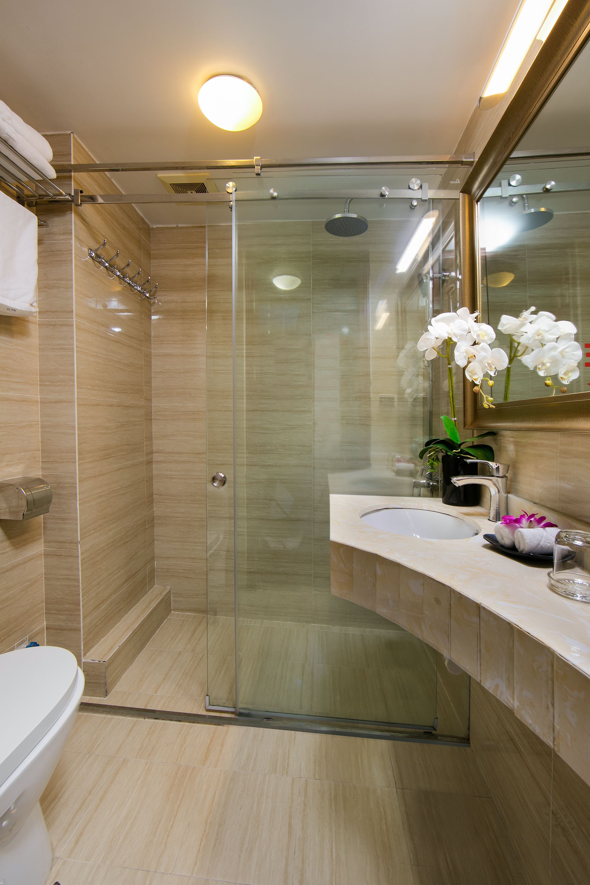 shower, free toiletries, hair dryer, towels