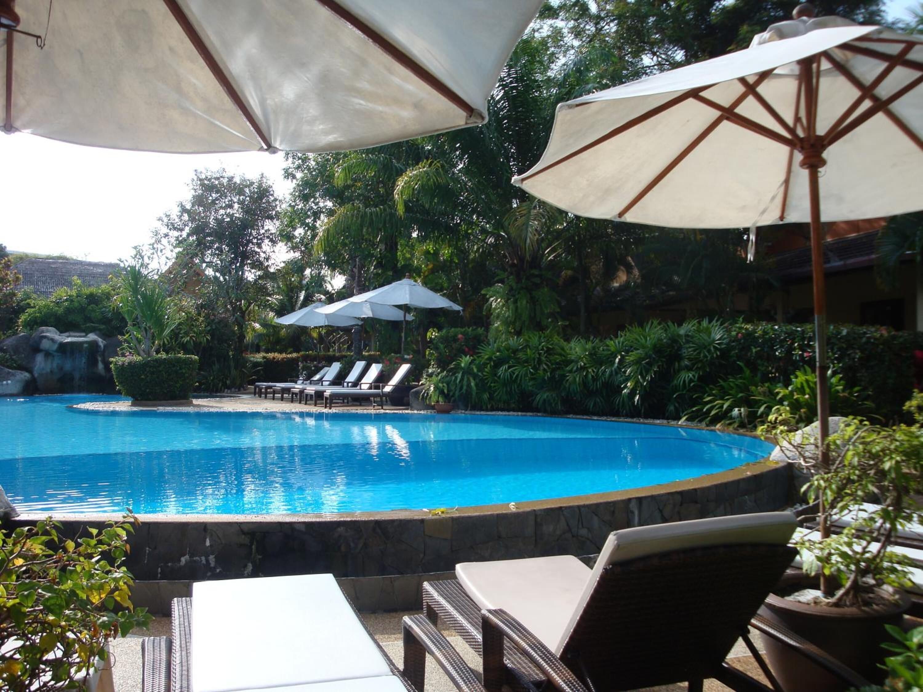 Une piscine entourée de chaises longues et de parasols, elle-même bordée d’une végétation luxuriante et d’une cascade.