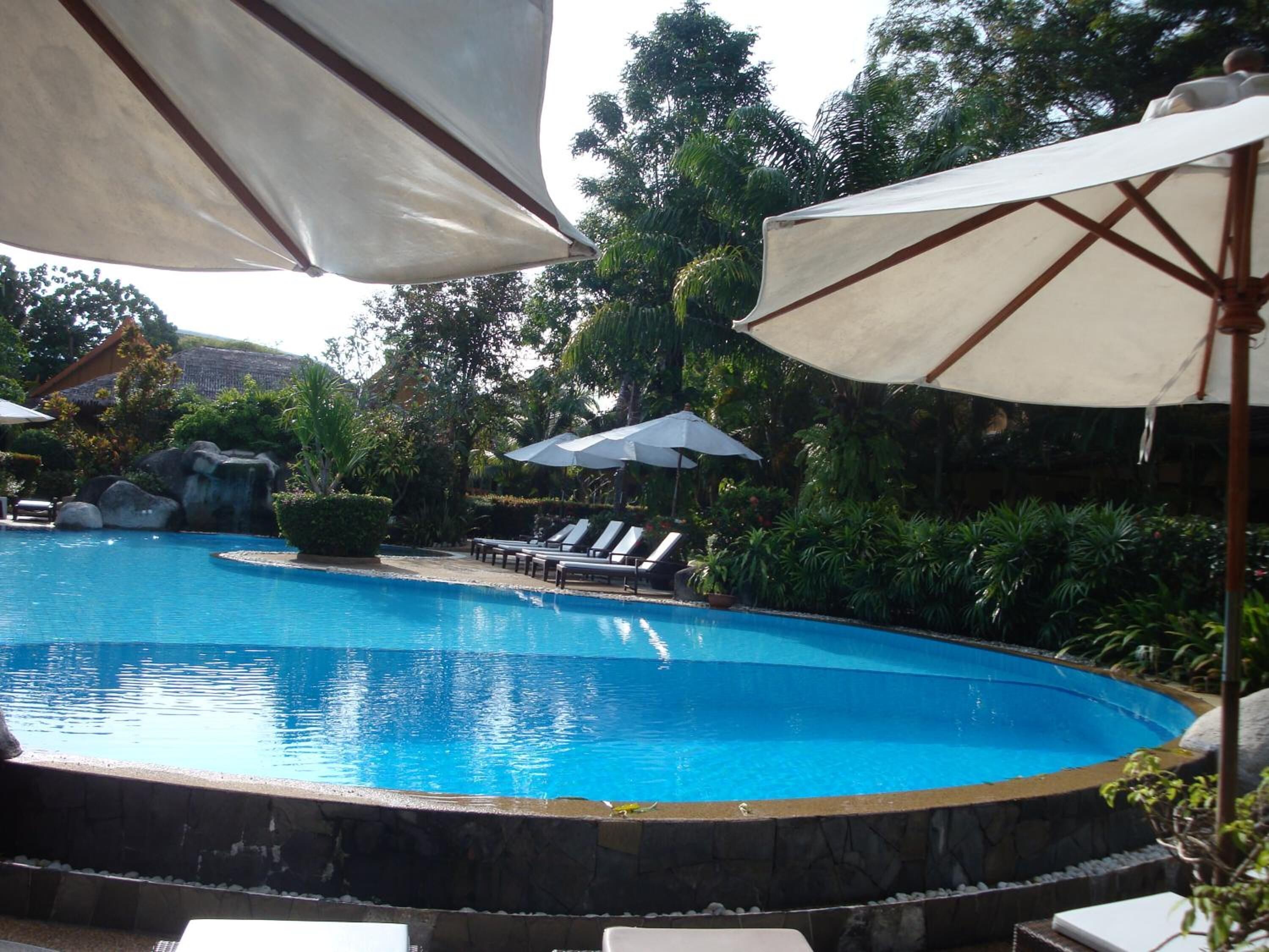outdoor pool, pool umbrellas, pool loungers