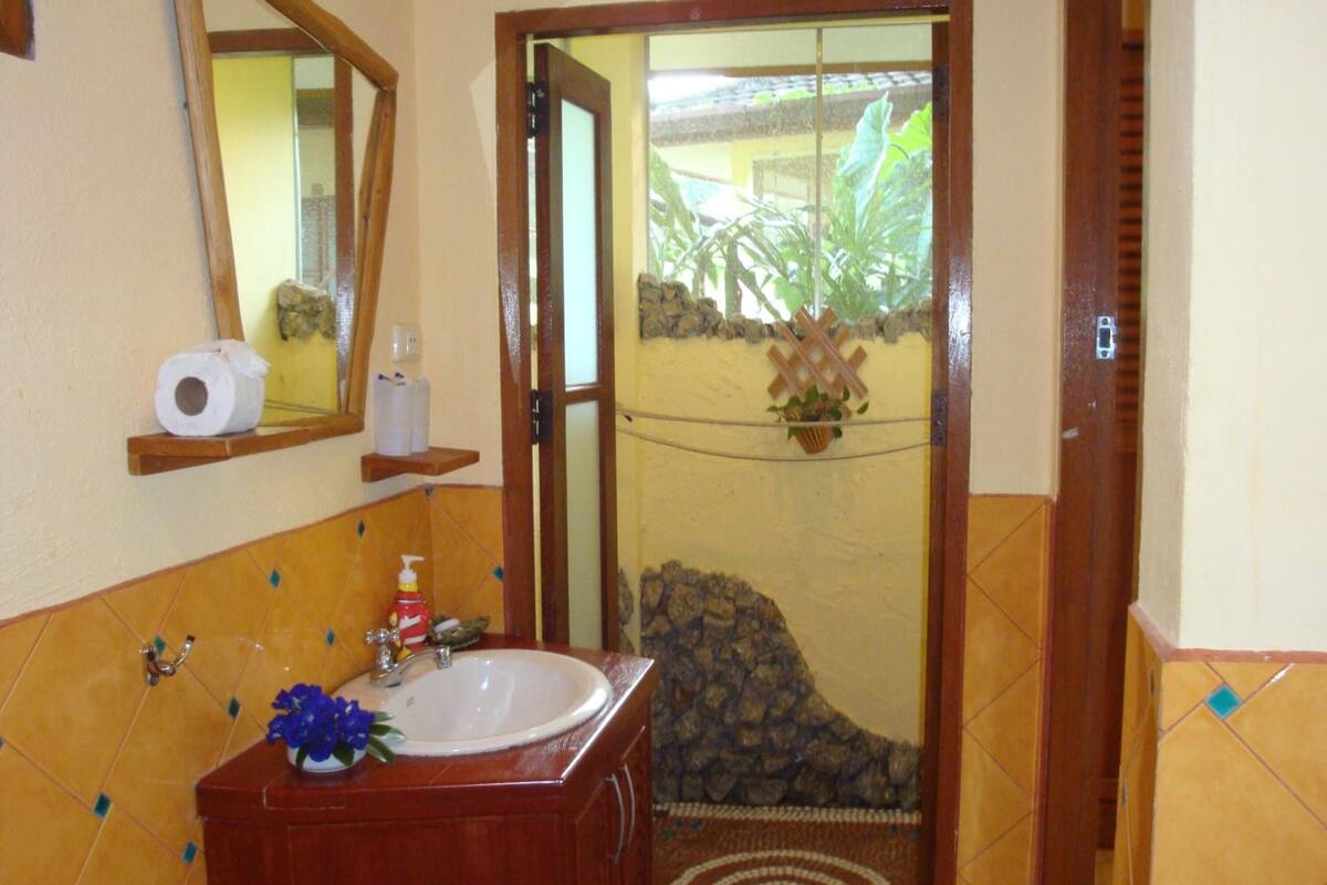 shower, free toiletries, hair dryer, bidet