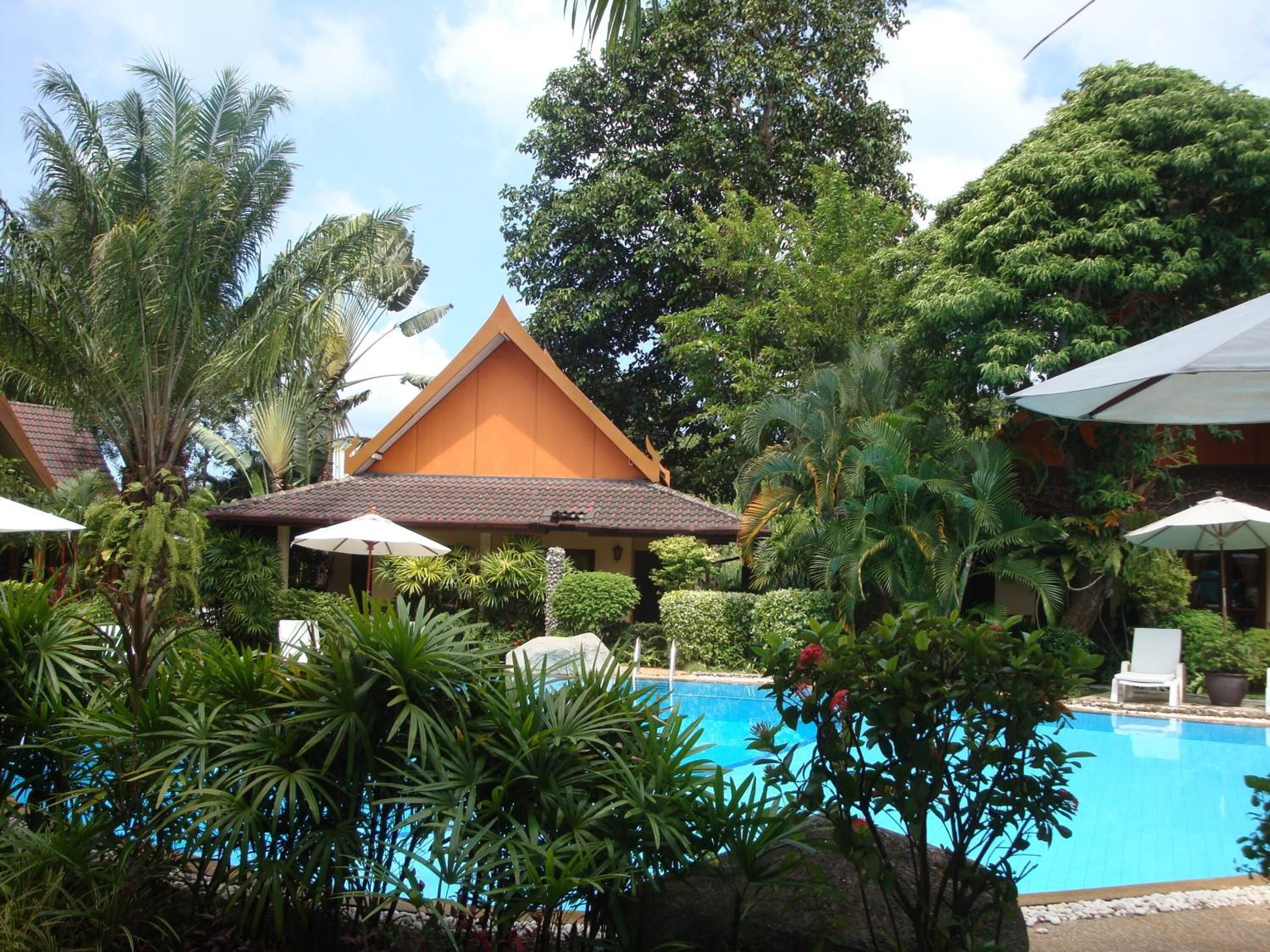 Zona de piscina con un edificio al fondo, rodeada de vegetación tropical.