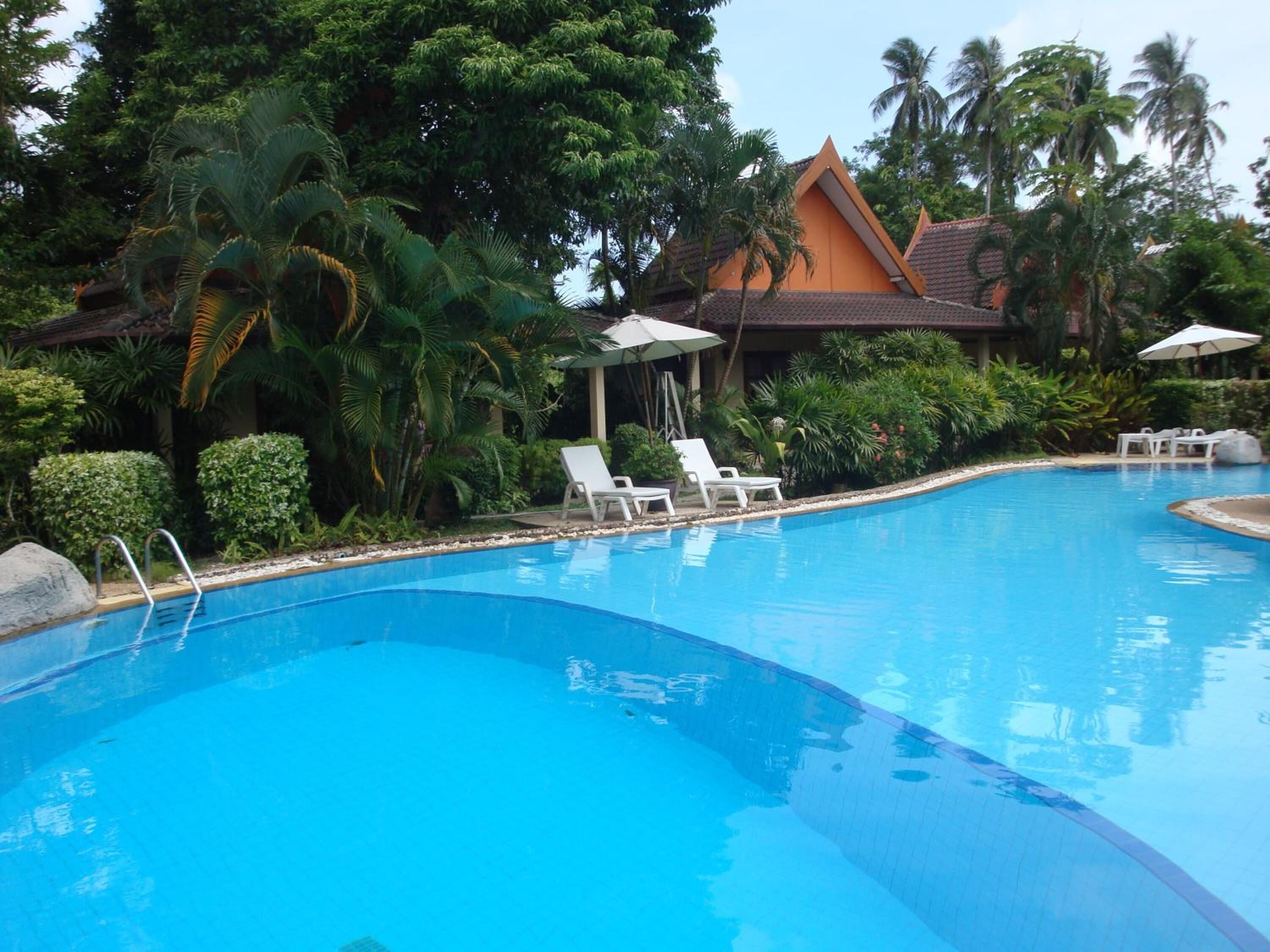 A clear blue swimming pool with white lounge chairs and umbrellas, surrounded by lush greenery and a traditional building with a tiled roof.