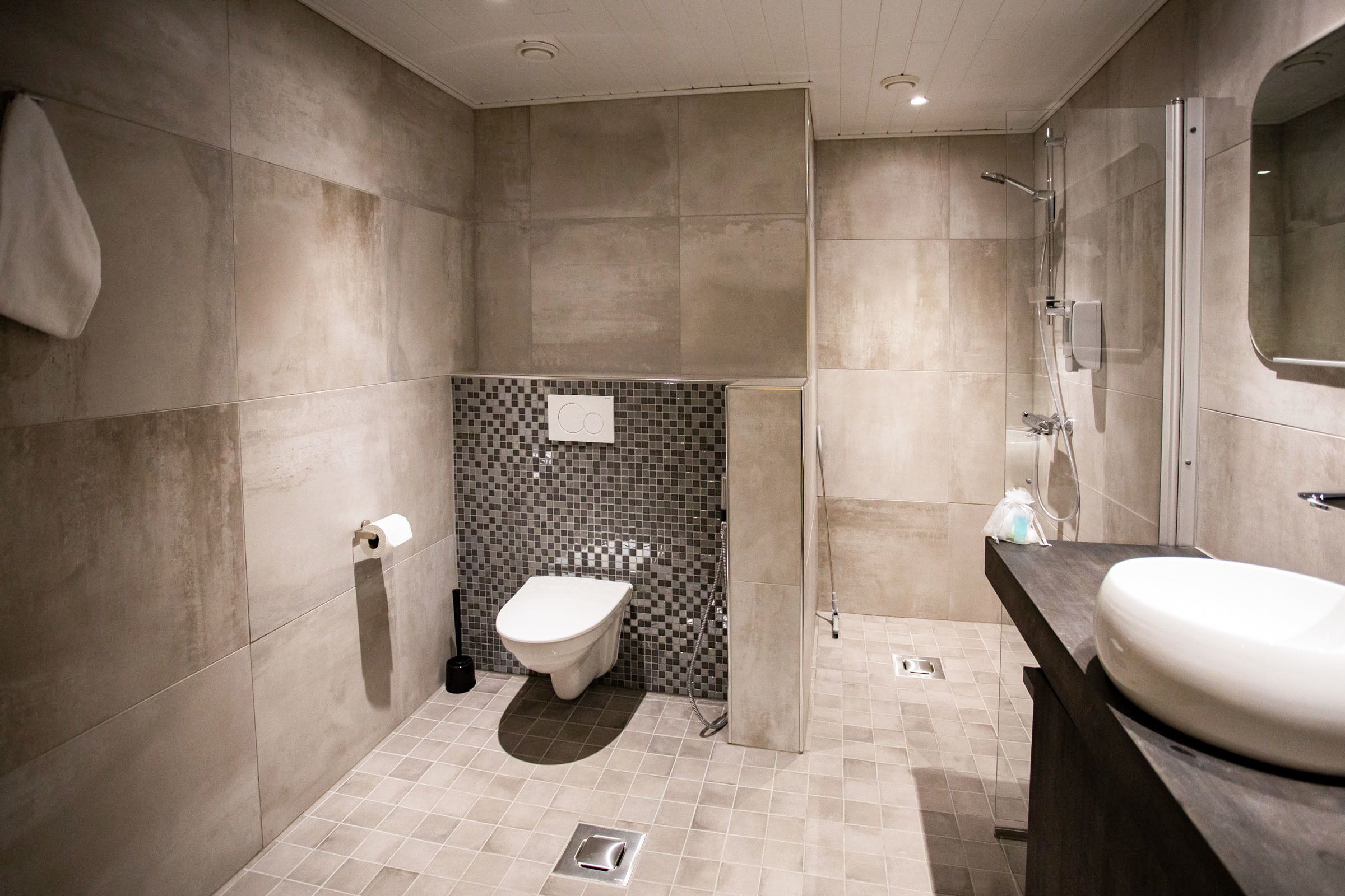 Un bagno moderno con un lavandino capiente, un water e uno spazio doccia.