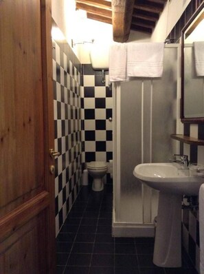 Une salle de bain avec un carrelage à motifs géométriques, des toilettes, un lavabo et une douche.