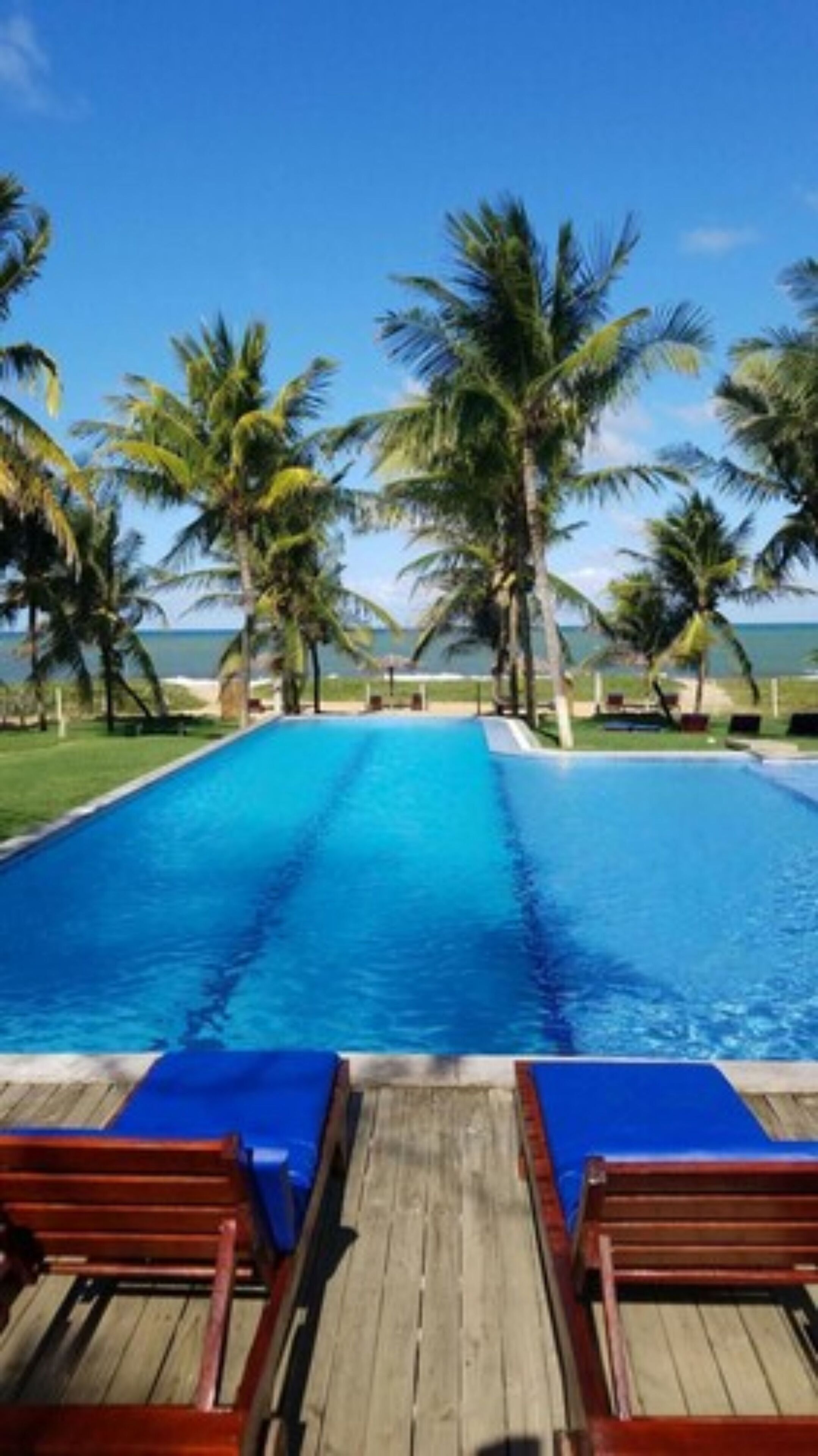 Una piscina con muelle de madera y sillones de descanso, rodeada de palmeras y vista al océano.