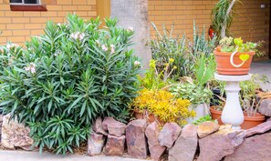 A garden with various plants and a white stone wall. - Pampas Motel (Port Augusta)