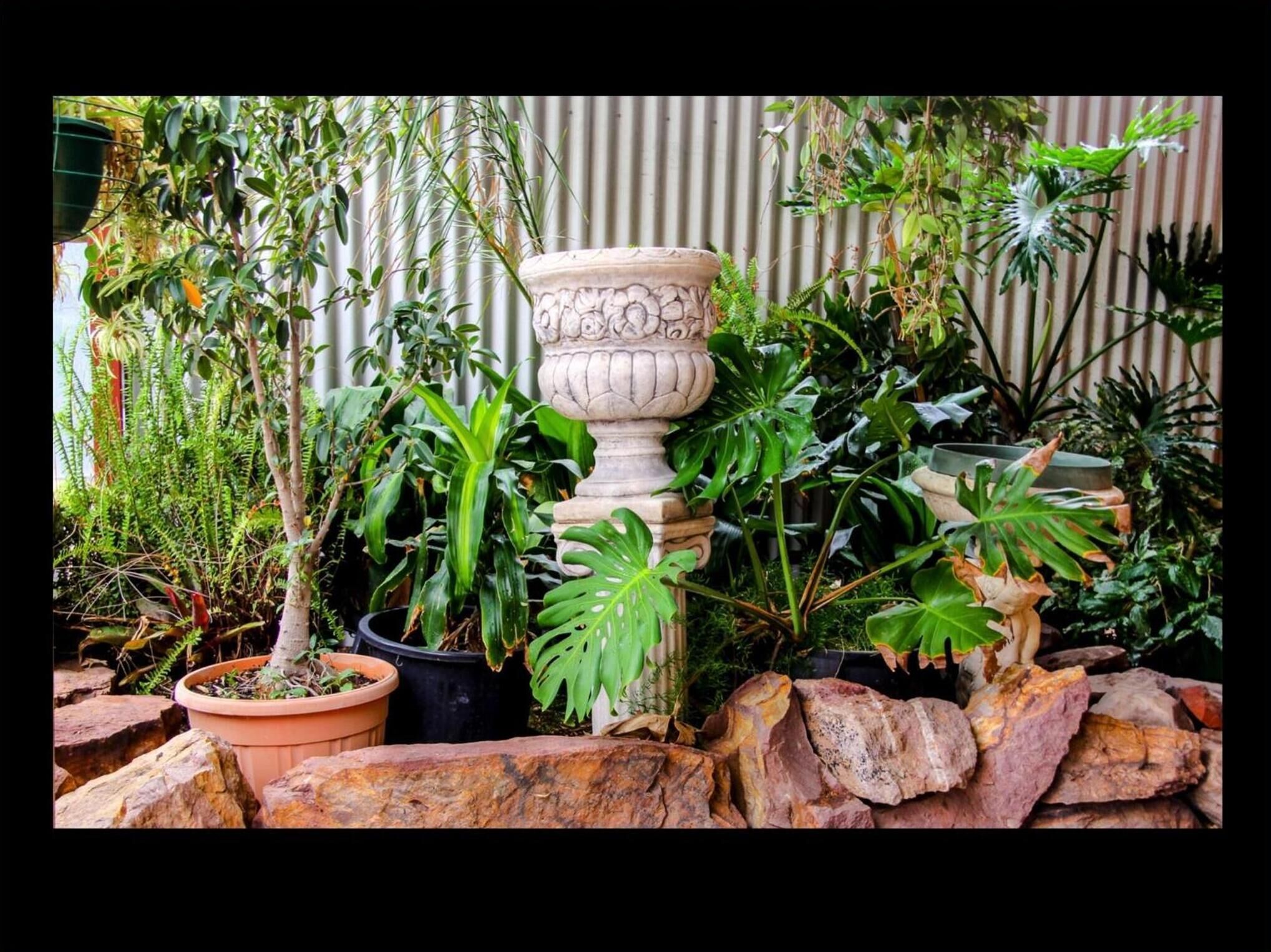 A variety of potted plants and a large decorative urn in a garden setting.