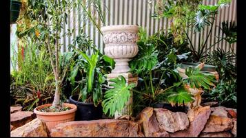 A variety of potted plants and a large decorative urn in a garden setting.