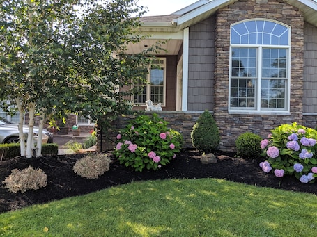 Jardim. Clarence Inn