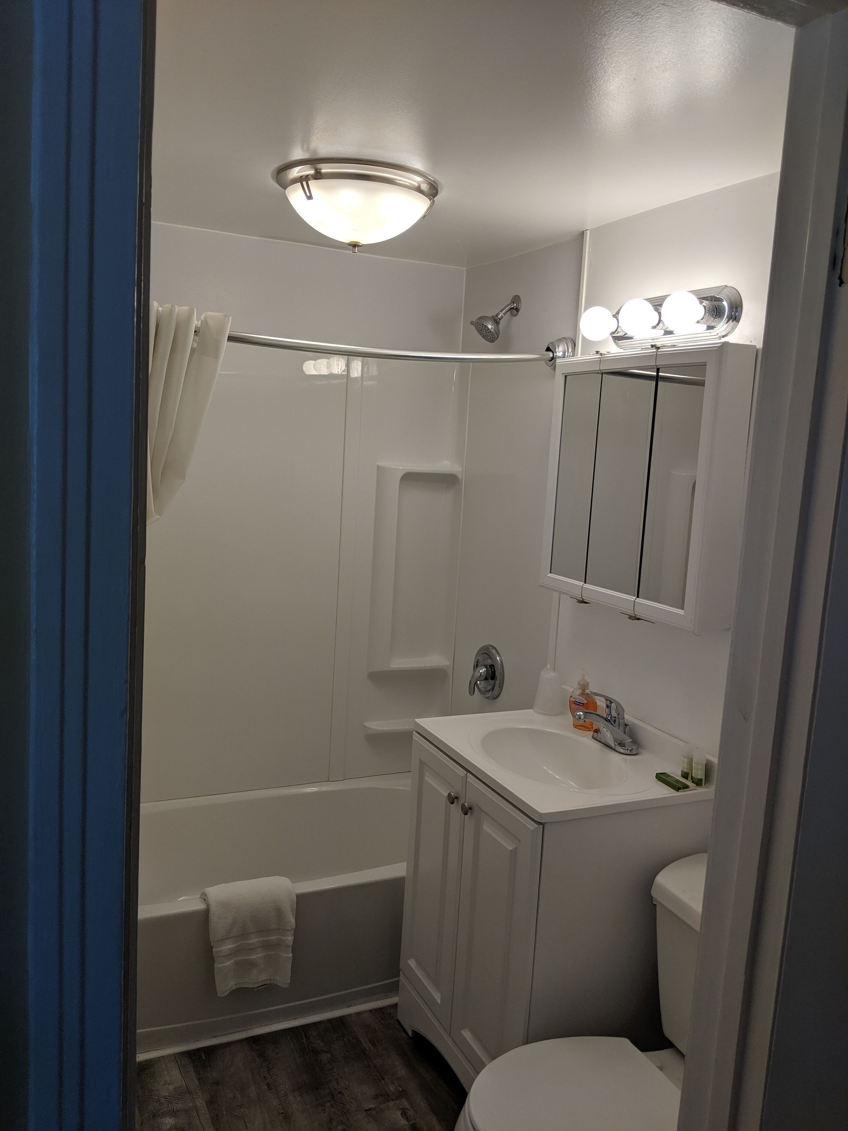 Een badkamer met een bad, een douche, een wastafel en een toilet.