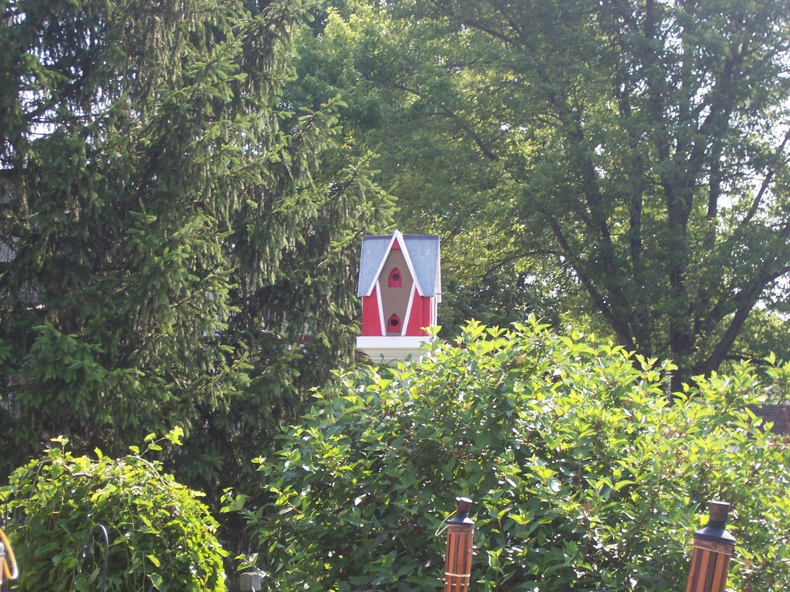 Uma placa vermelha e branca com telhado triangular, rodeada por folhagem verde densa e um cercado com ripas verticais.