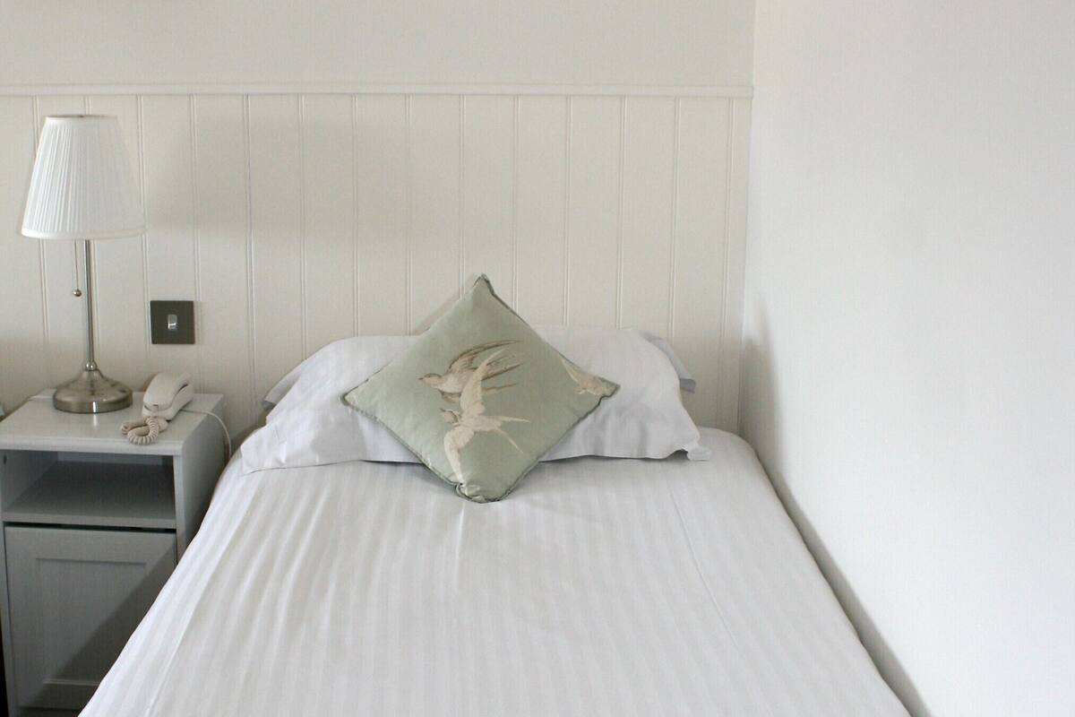 classic single room, 1 single bed | 1 bedroom, desk, iron/ironing board, free wifi