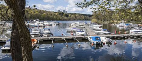 A marina with boats docked at wooden piers, surrounded by trees and a clear sky.
