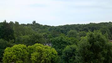 Uitzicht vanuit de kamer
