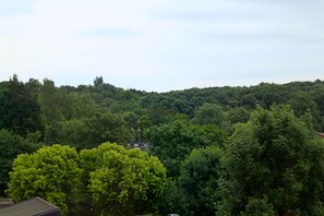 Vista de una ladera boscosa con un edificio parcialmente oculto por los árboles.