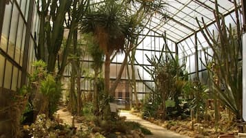 Site dâintĂ©rĂȘt