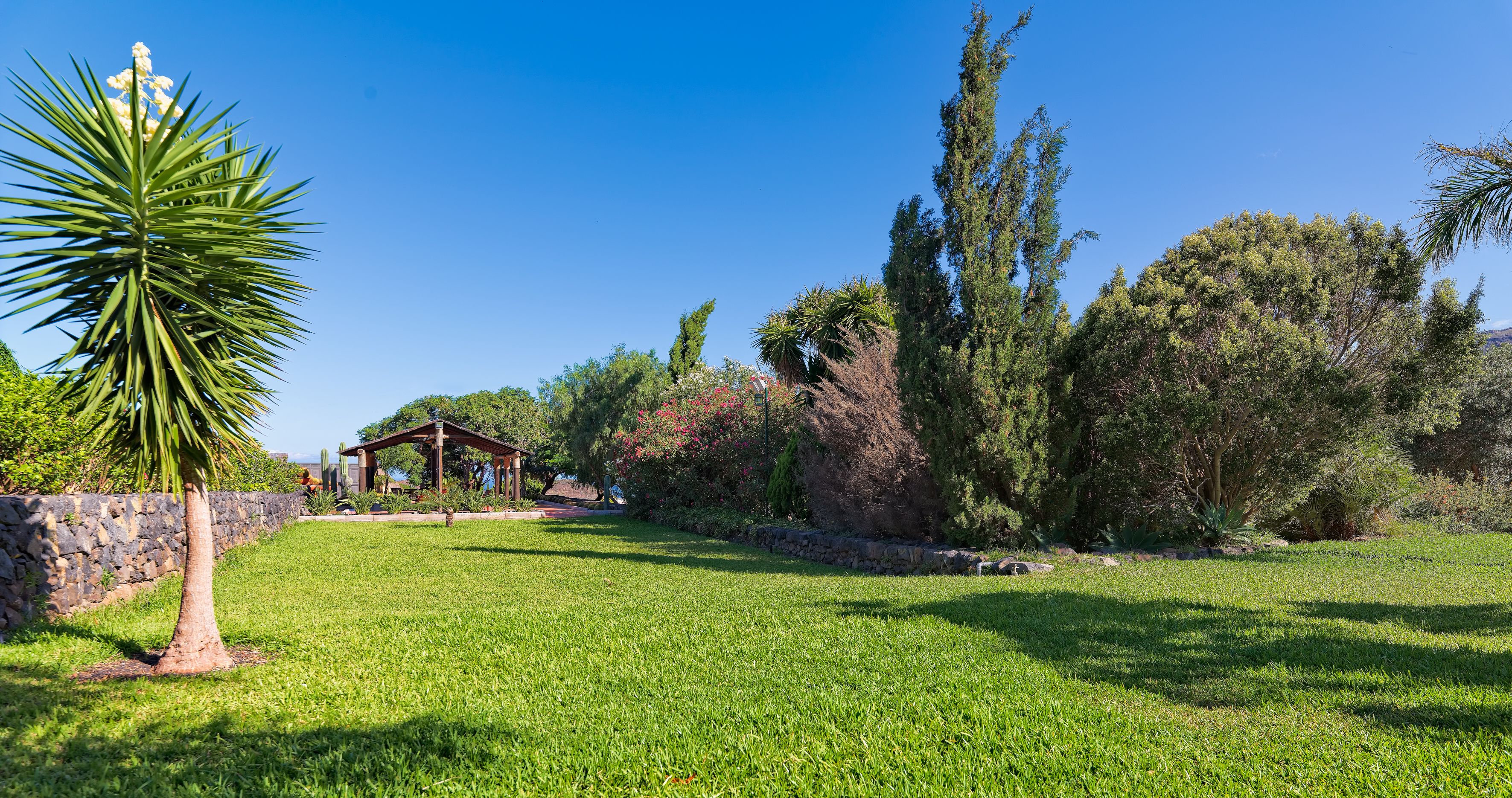A well-maintained garden with a gazebo, a palm tree, and various shrubs.