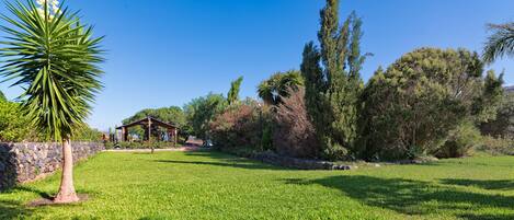 A well-maintained garden with a gazebo, a palm tree, and various shrubs.