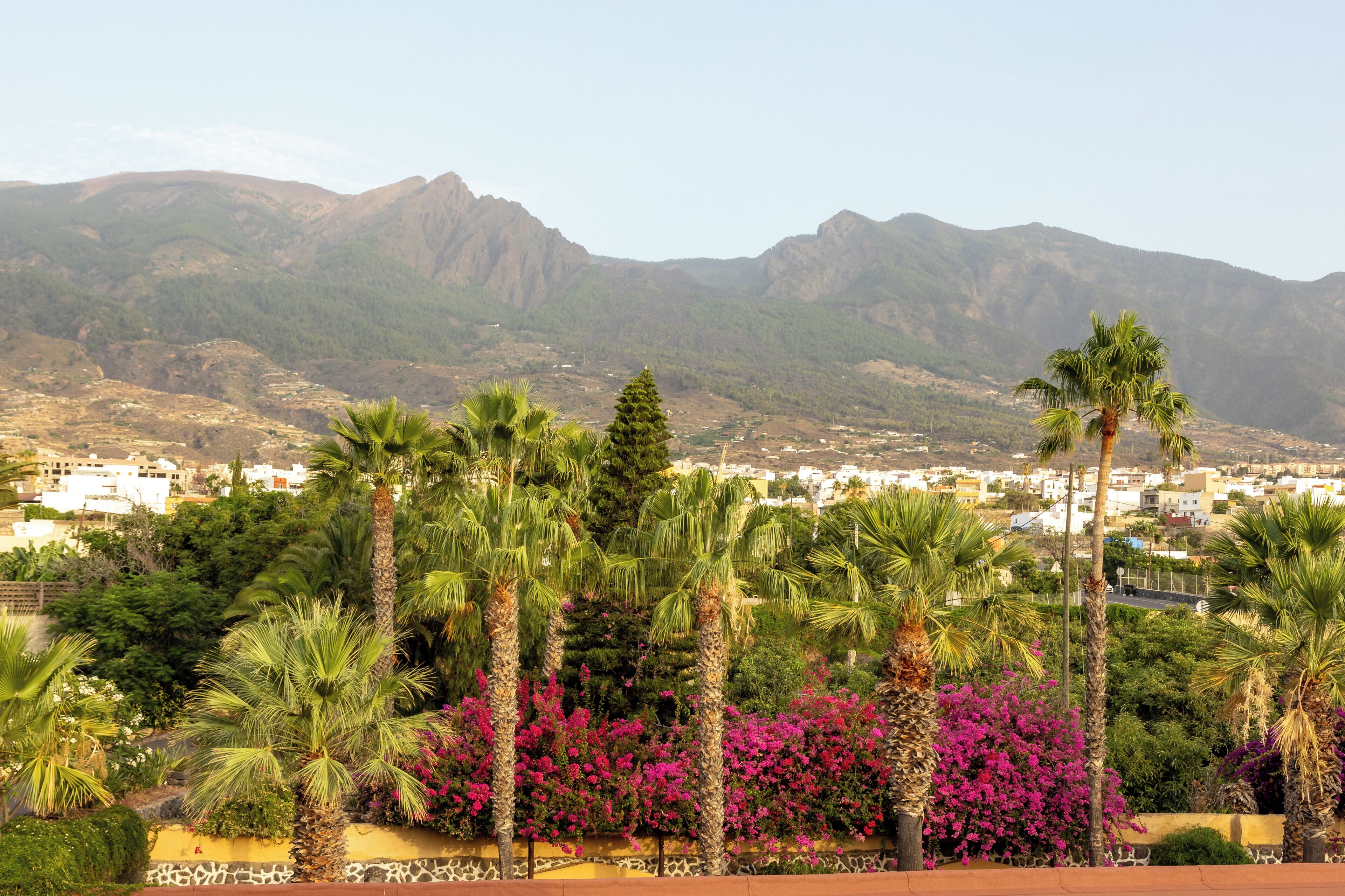 Un pueblo costero con palmeras y buganvillas en primer plano, y montañas al fondo.