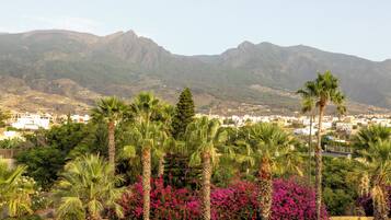 Un pueblo costero con palmeras y buganvillas en primer plano, y montañas al fondo.