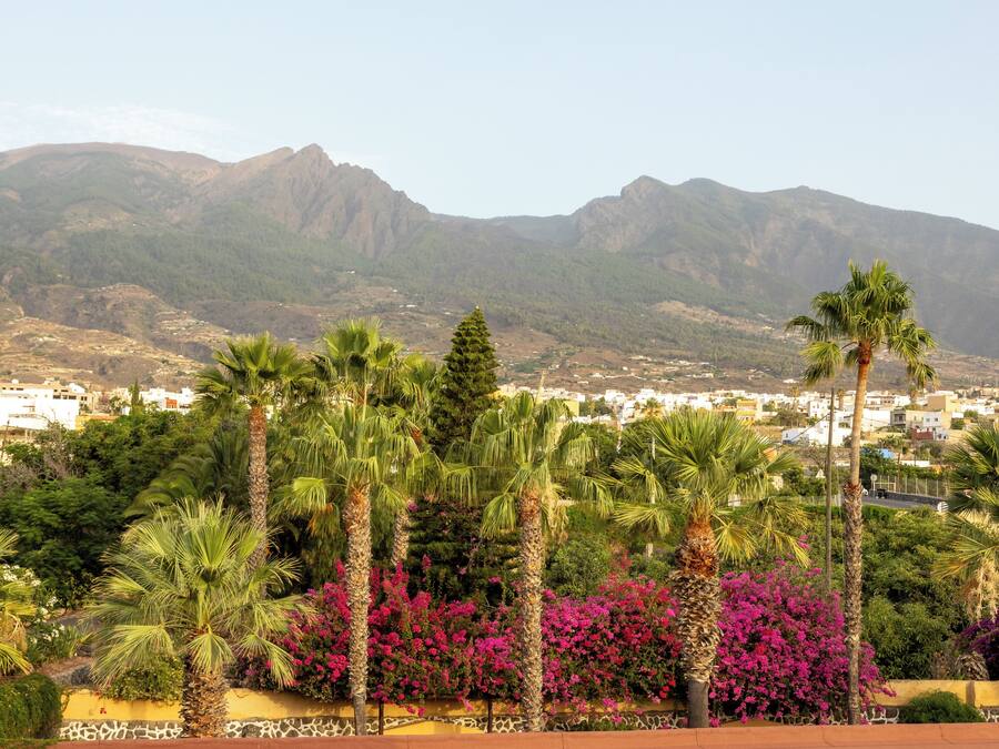 Un pueblo costero con palmeras y buganvillas en primer plano, y montañas al fondo.