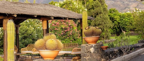 Un jardín con un pérgola de madera, cactus en macetas y un muro de piedra.