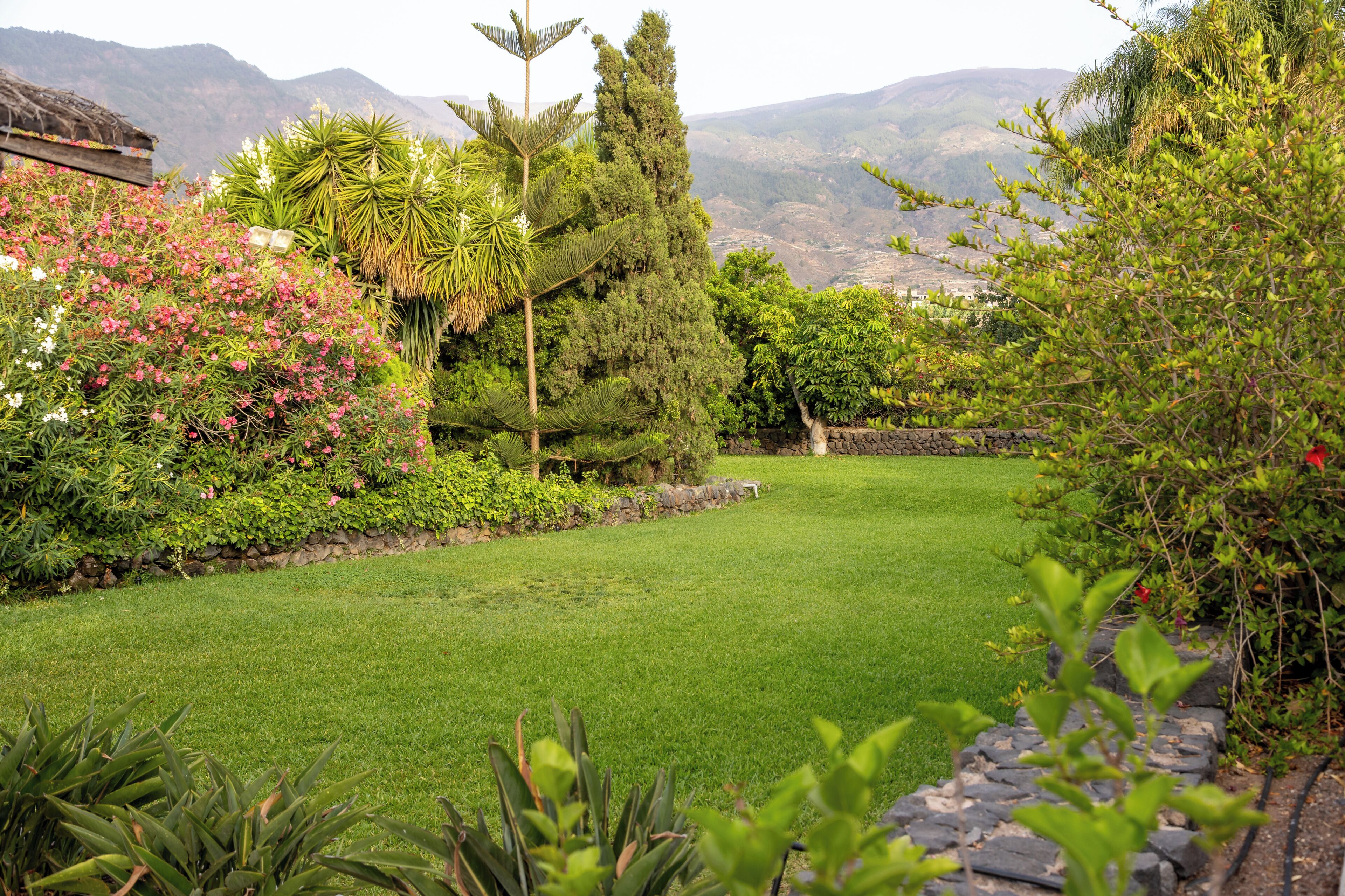 A well-maintained garden with a variety of plants and trees, a stone wall, and a clear view of distant mountains.