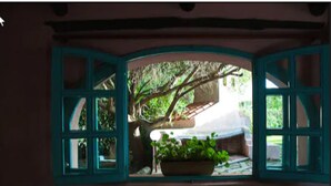 A room with a view through a window with teal frames, a potted plant, and a tree outside. - Hotel Scintilla (San Teodoro)