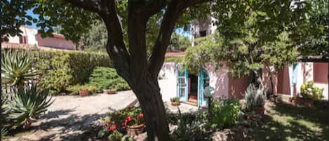 Jardin