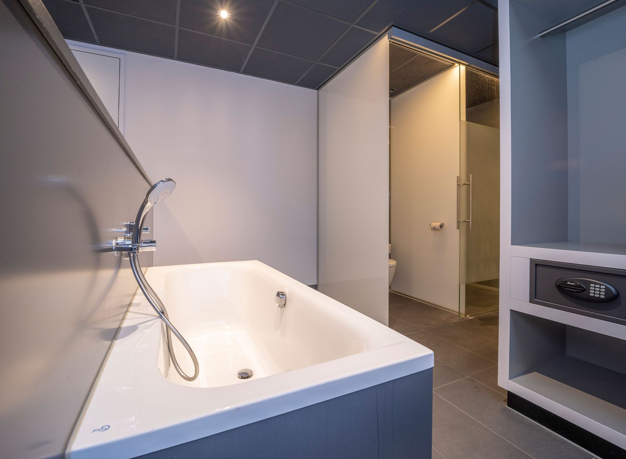 A modern bathroom with a freestanding bathtub, a shower, and a toilet.