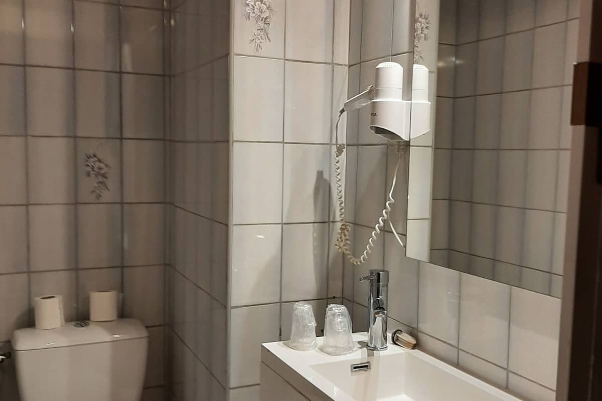 shower, hair dryer, bidet, towels