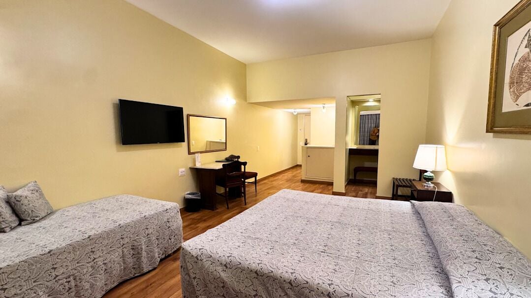 Quarto de hotel com duas camas de solteiro, uma escrivaninha com cadeira, televisão de tela plana, espelho, abajur e um quadro pendurado na parede.