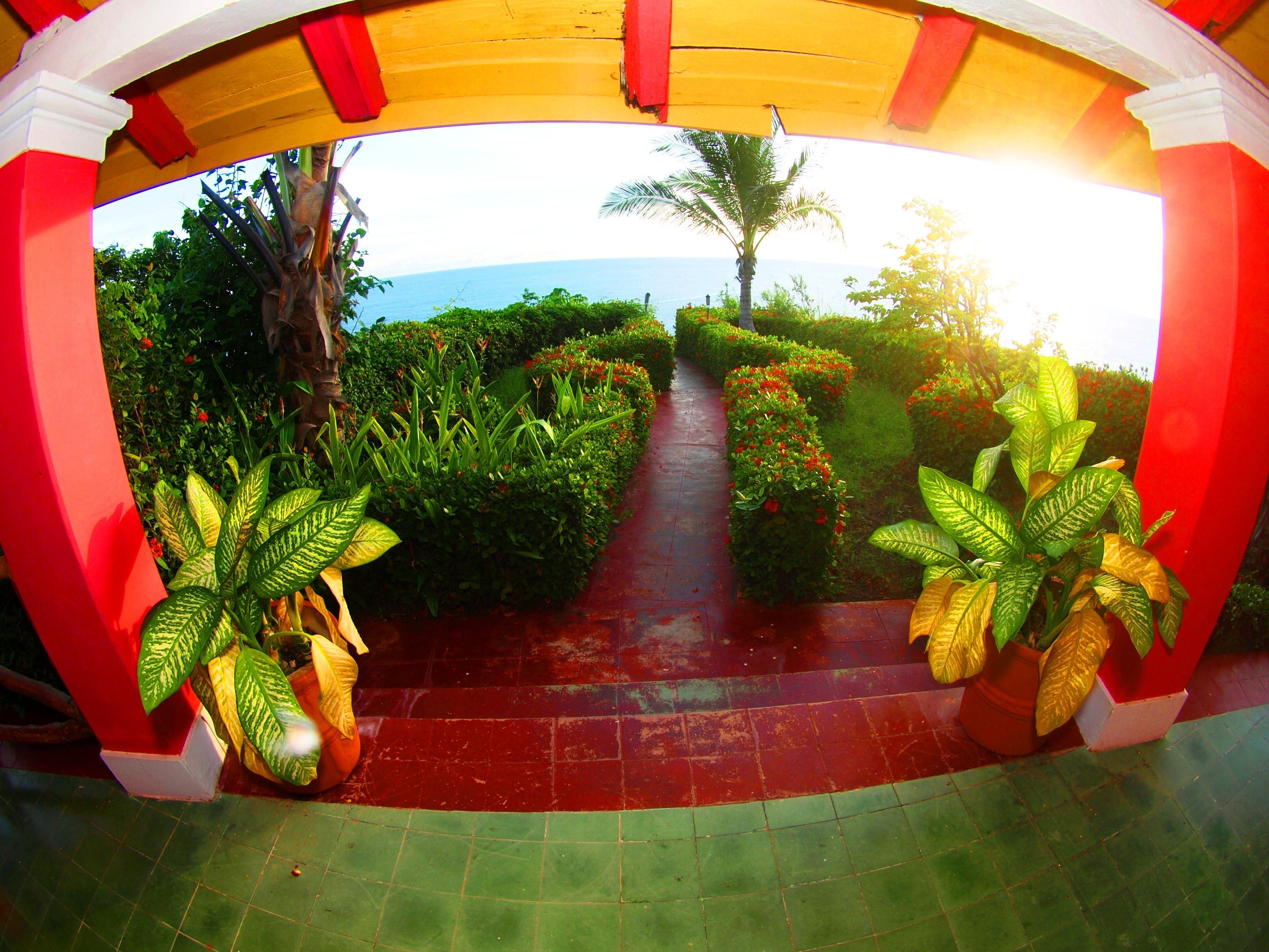 Foto - Hotel Flamingos