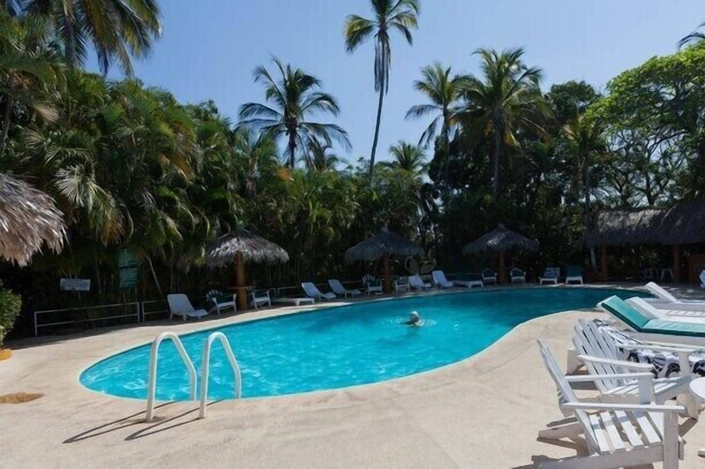 Una piscina con sillas de descanso y palmeras.