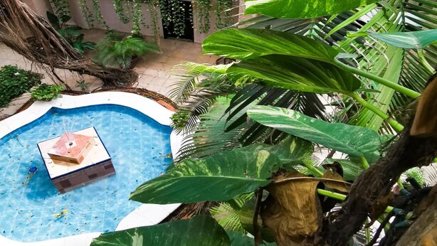 A circular pool with a small structure in the center, surrounded by lush greenery and a building with a door in the background. - Hotel Colonial Cancun (Cancun)
