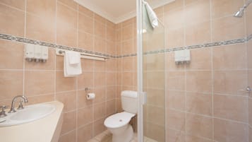 Een badkamer met een wastafel, toilet en douche.