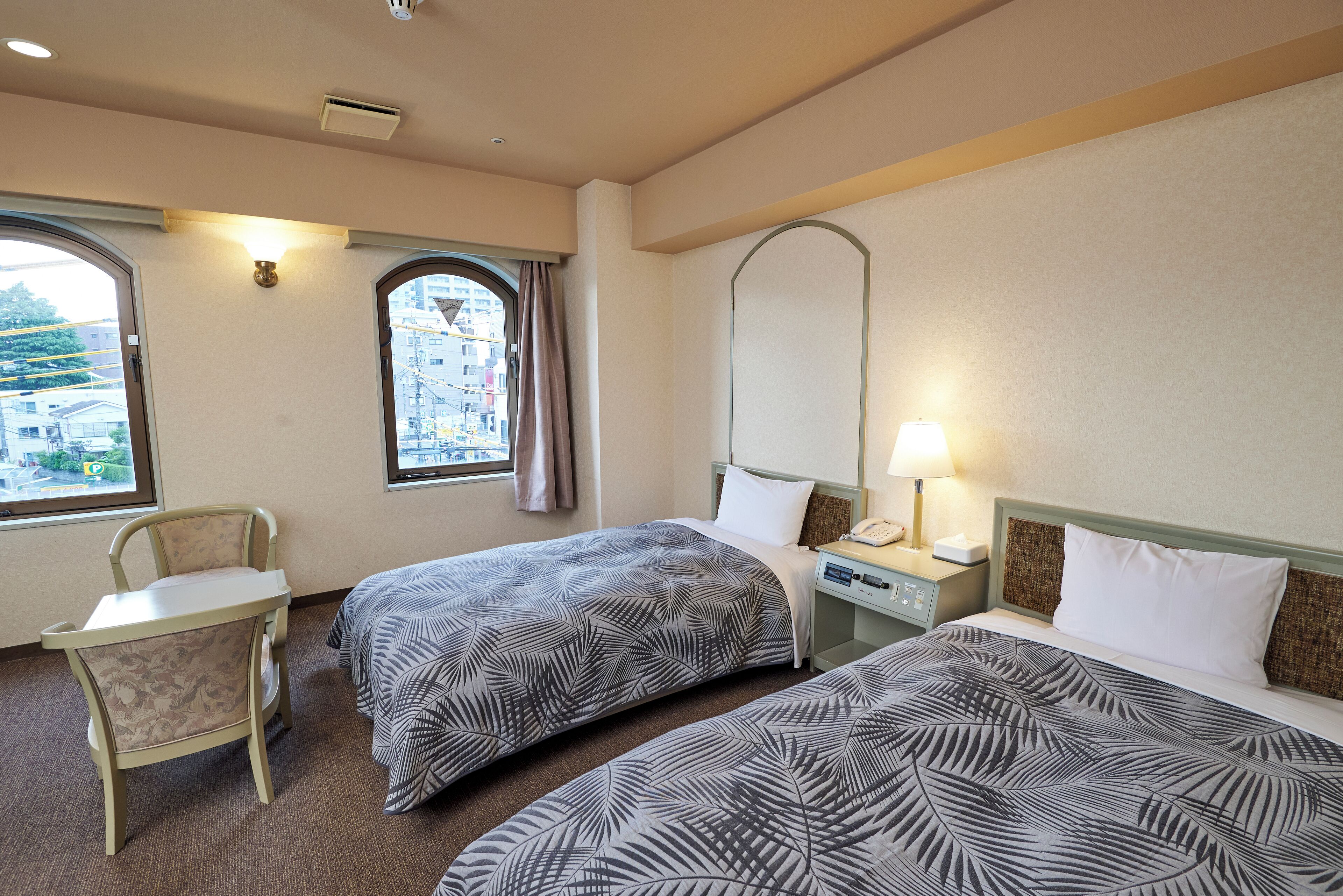 Camera Deluxe con 2 letti singoli, fumatori | Una cassaforte in camera, una scrivania, Wi-Fi gratuito, lenzuola