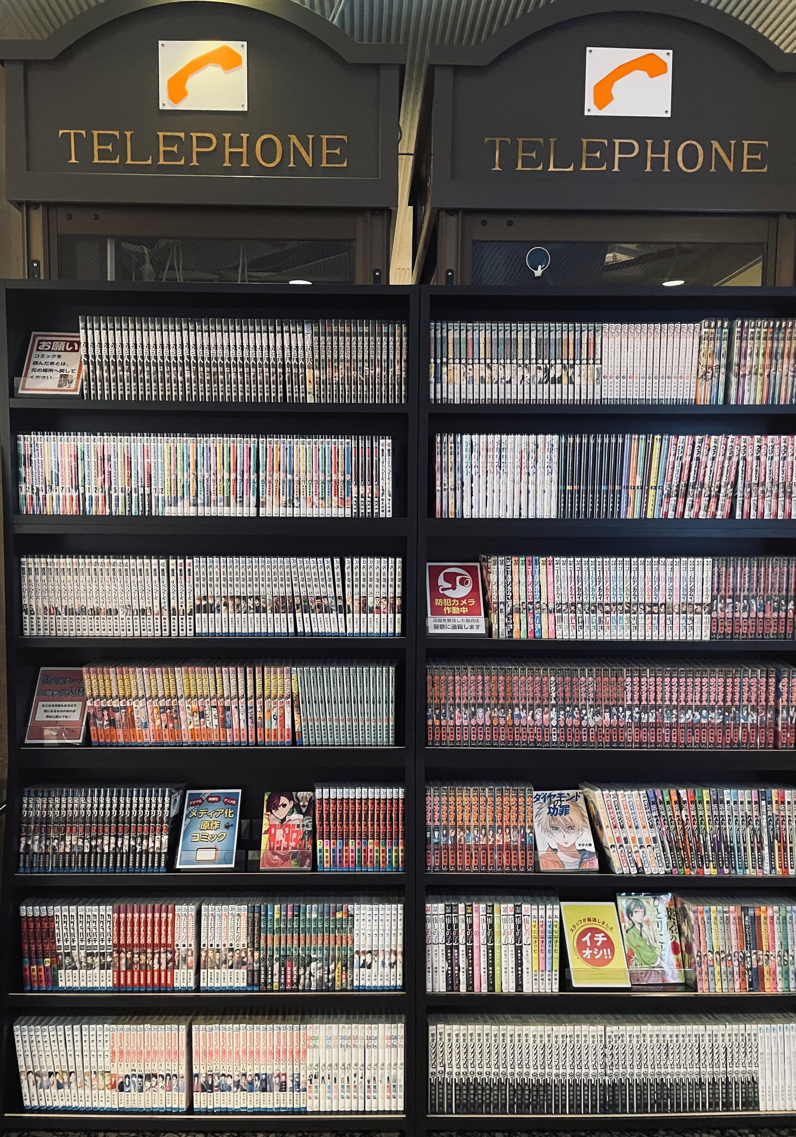 Servizio della struttura