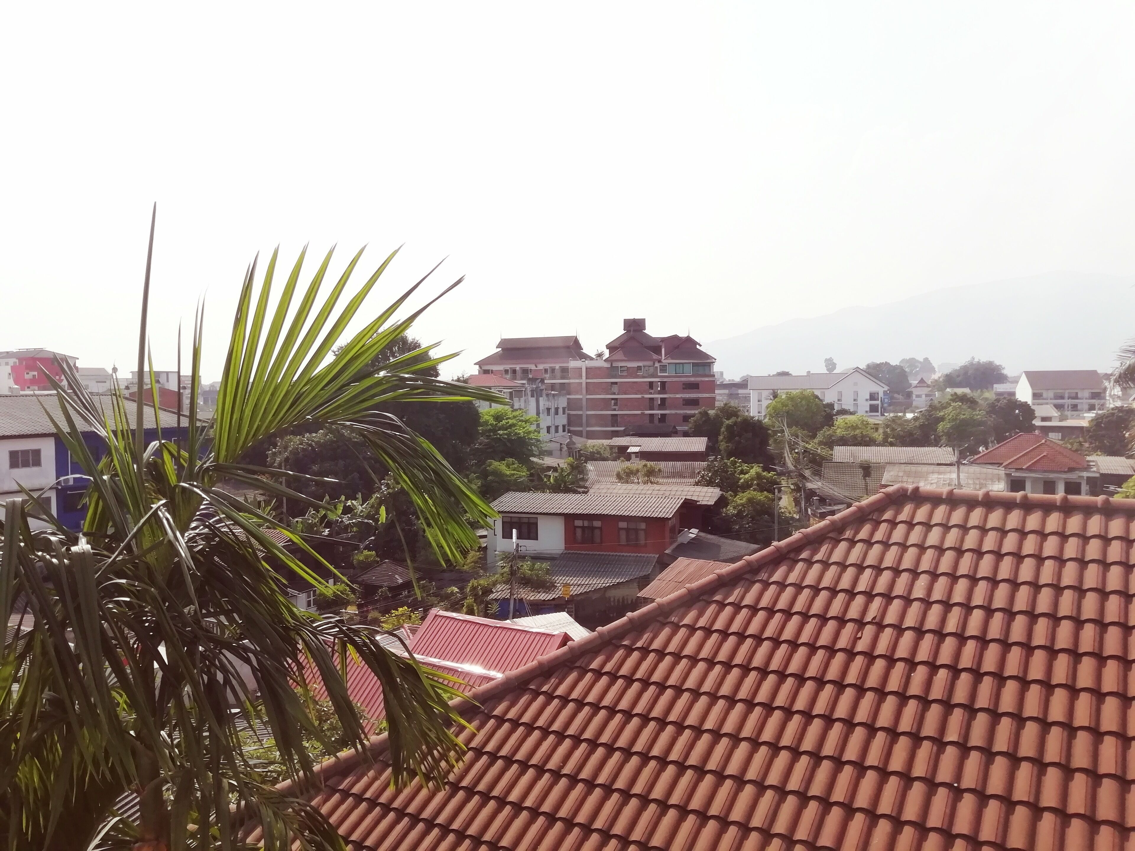 Foto - Mandala House, Chiang Mai