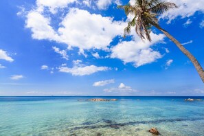A clear blue sky, a palm tree, and calm turquoise waters. - Beyond The Blue Horizon Villa Resort (Ko Pha-ngan)