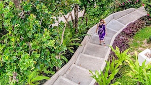 A pathway through a garden with dense foliage and a woman walking. - Busuanga Bay Lodge (Busuanga)