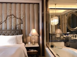 Badewanne und Dusche (separat), Komfortbadewanne, Regendusche