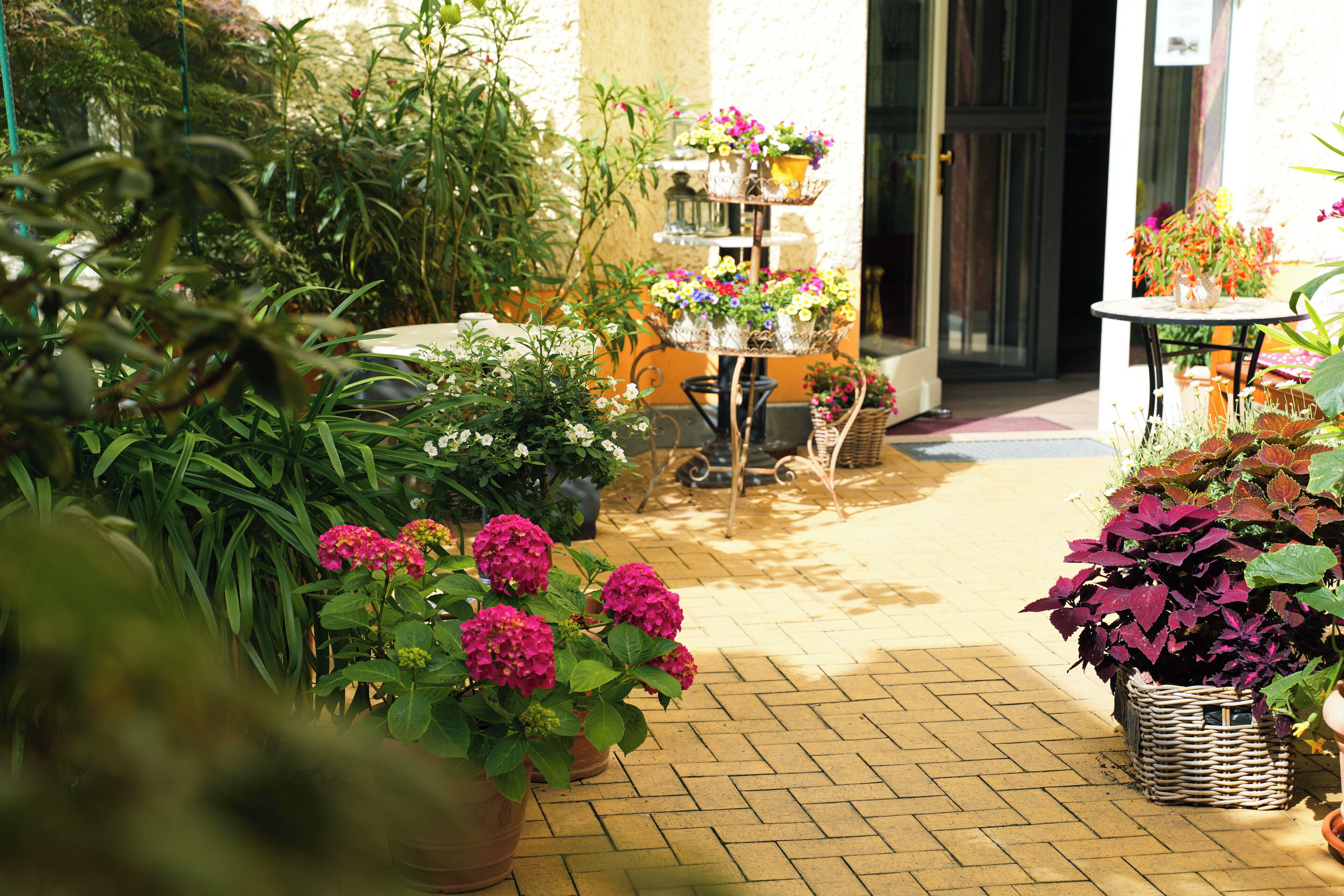 Foto - Honigmond Boutique Hotel