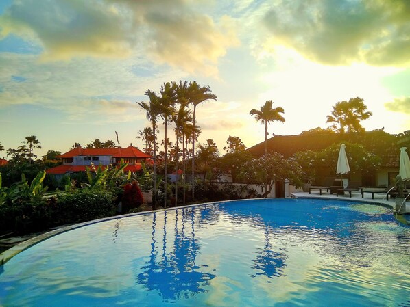 Outdoor pool, sun loungers