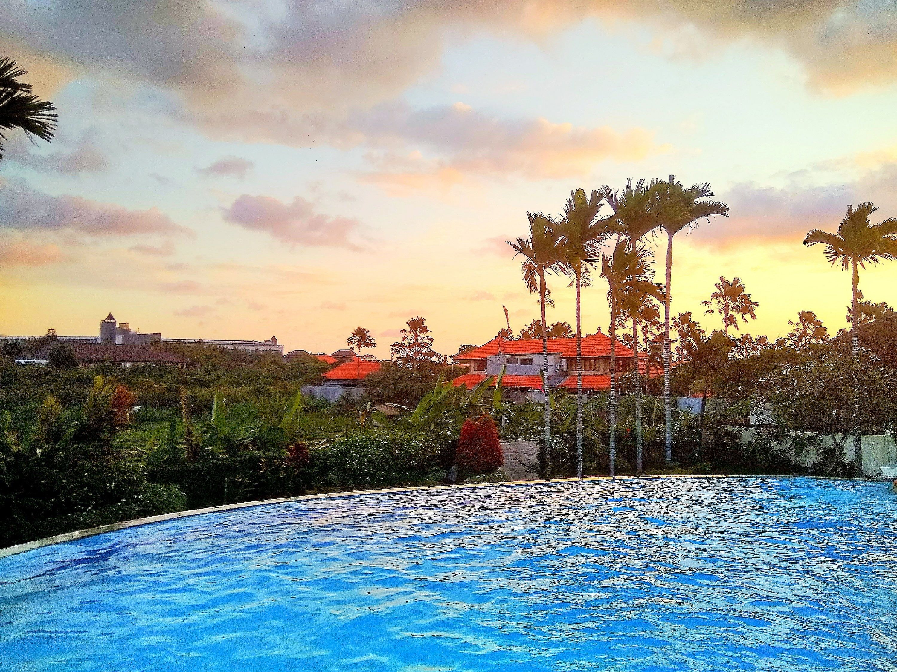Una piscina con vistas a una casa y palmeras.
