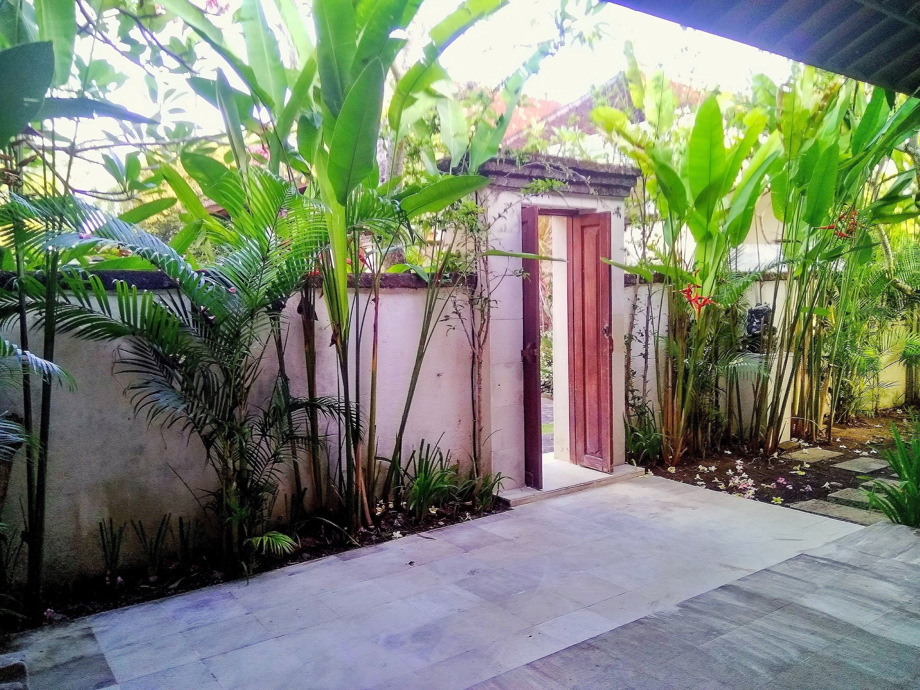 A pathway leading to a small structure with a red door, surrounded by lush greenery and a tiled floor.