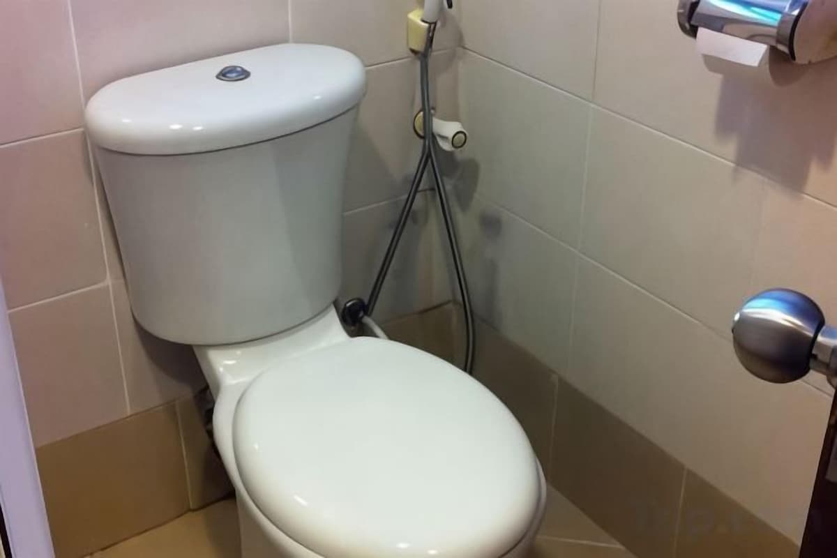 Ducha, secador de pelo, bidé y toallas