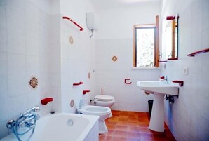 Shower, hair dryer, bidet